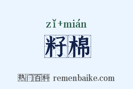 籽棉是什么意思的图片